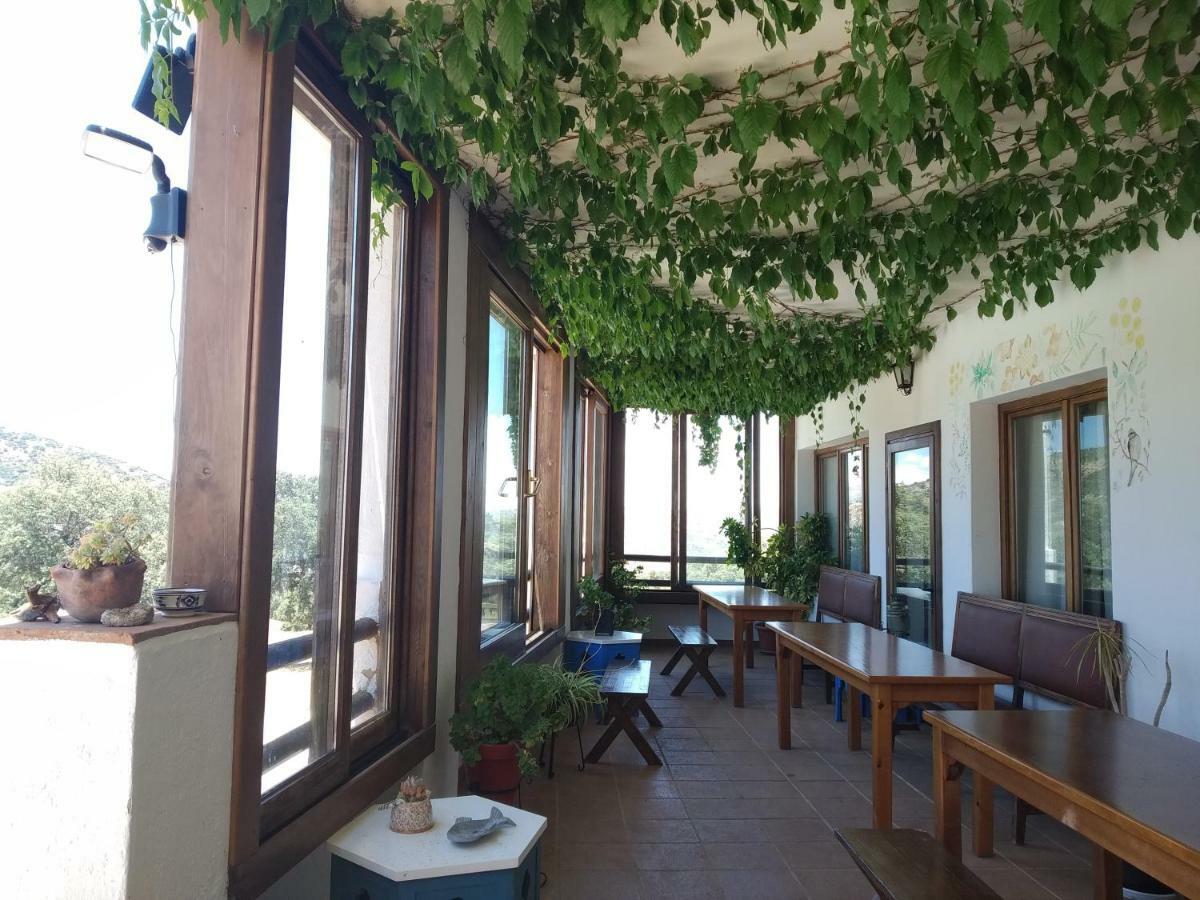 Casa rural Algaba De *